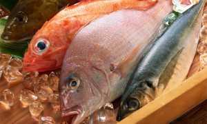 Какую рыбу можно есть при гастрите?